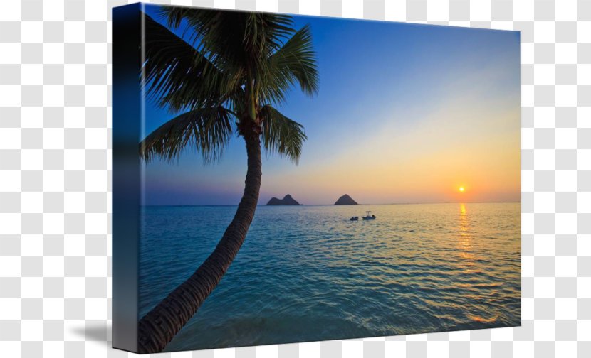 Lanikai Beach Caribbean Gallery Wrap Sea Canvas - Ocean Transparent PNG