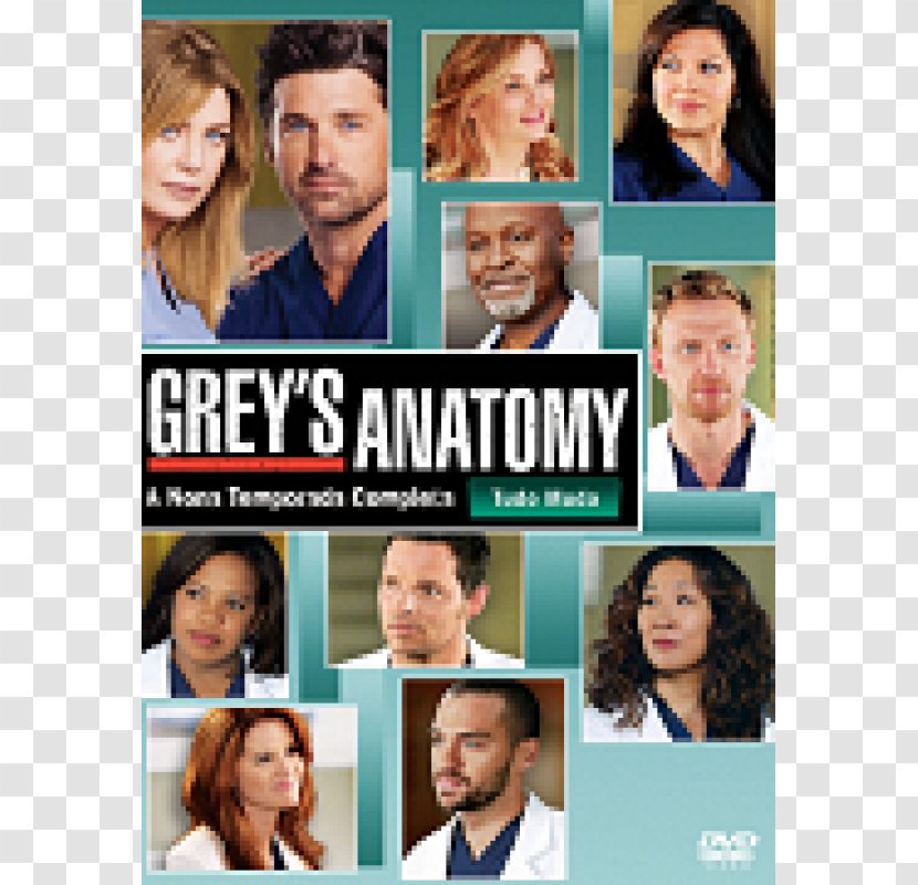 Justin Chambers Grey's Anatomy Dr. Mark Sloan Derek Shepherd Meredith Grey - Sandra Oh Transparent PNG
