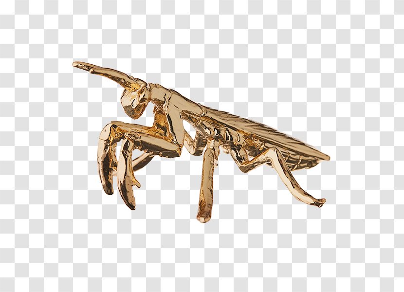 Gold Plating Insect Australia Post Transparent PNG