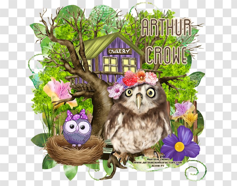 Owl Beak Wildlife Tree Transparent PNG