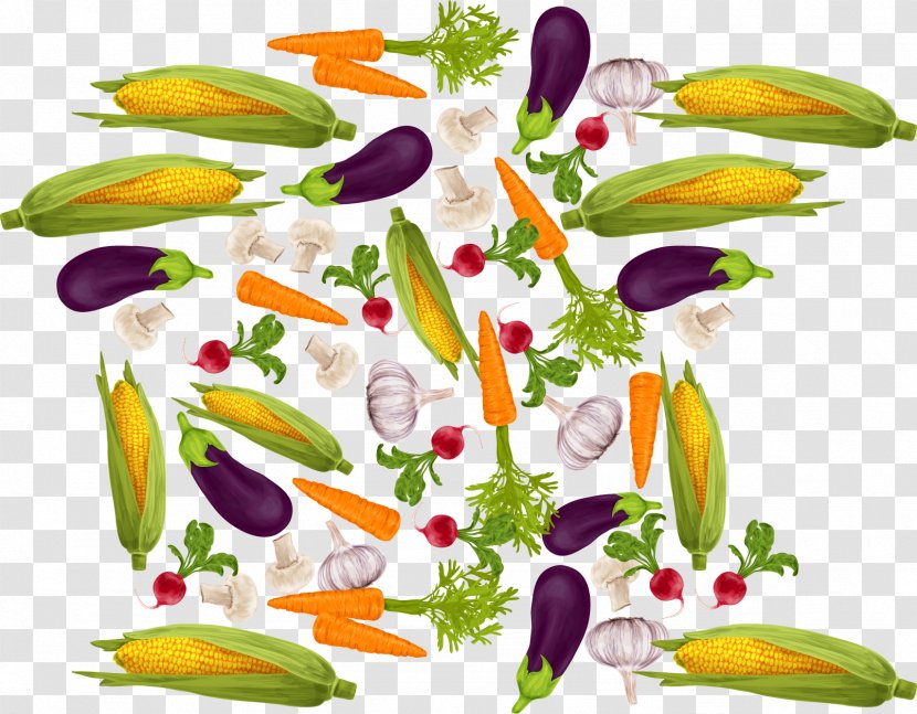 Vegetarian Cuisine Root Vegetables Carrot - Cut Flowers - Vector Transparent PNG