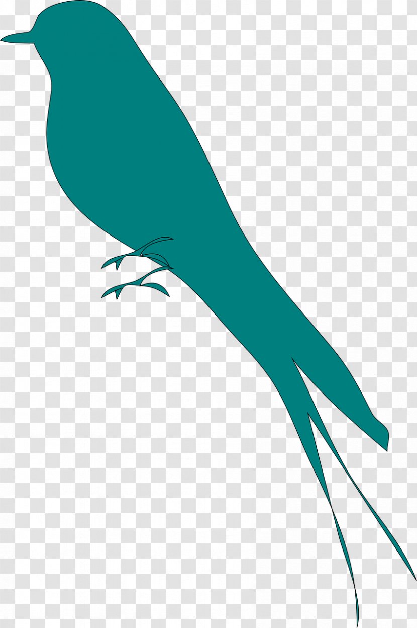 Bird Swallow Clip Art Vector Graphics Silhouette - Beak Transparent PNG