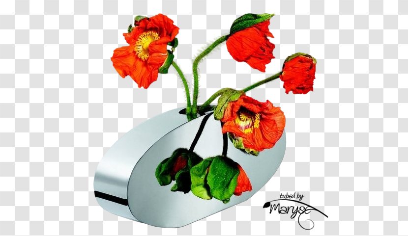 Philippi Donna Vase Stainless Steel Holmegaard Old English - Plant - Poppies Transparent PNG