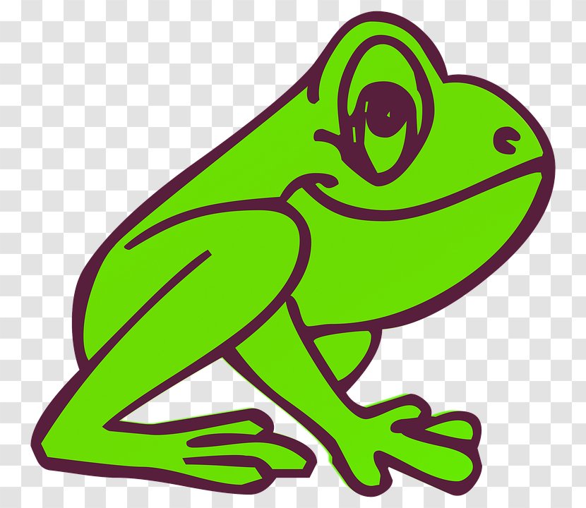Tree Frog Coloring Book Kermit The And Toad - Ranidae Transparent PNG