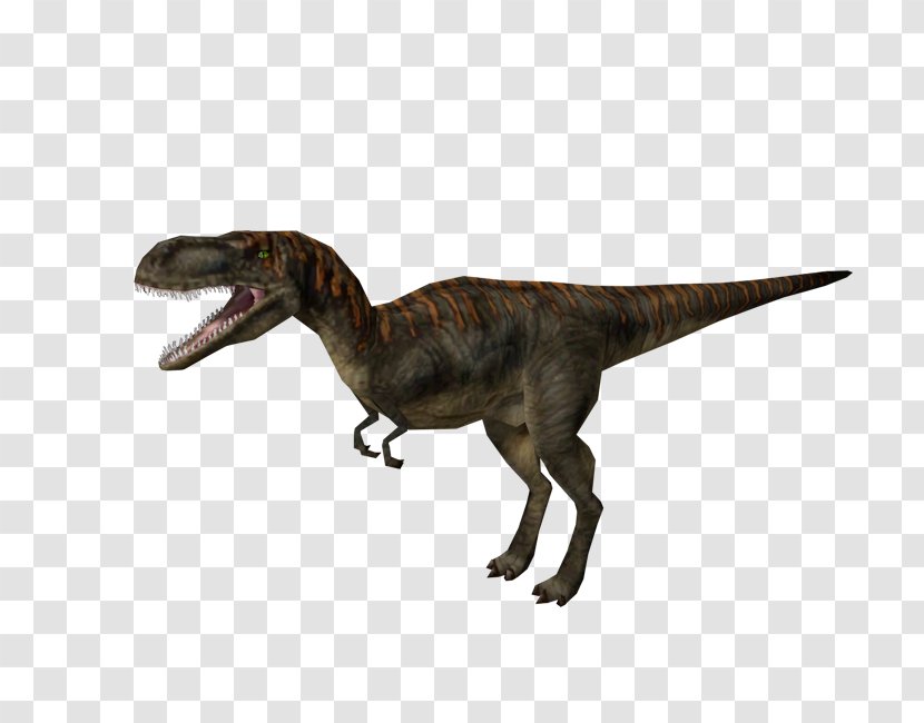 Jurassic Park: Operation Genesis Velociraptor Albertosaurus Tyrannosaurus Video Game - Park Iii Transparent PNG