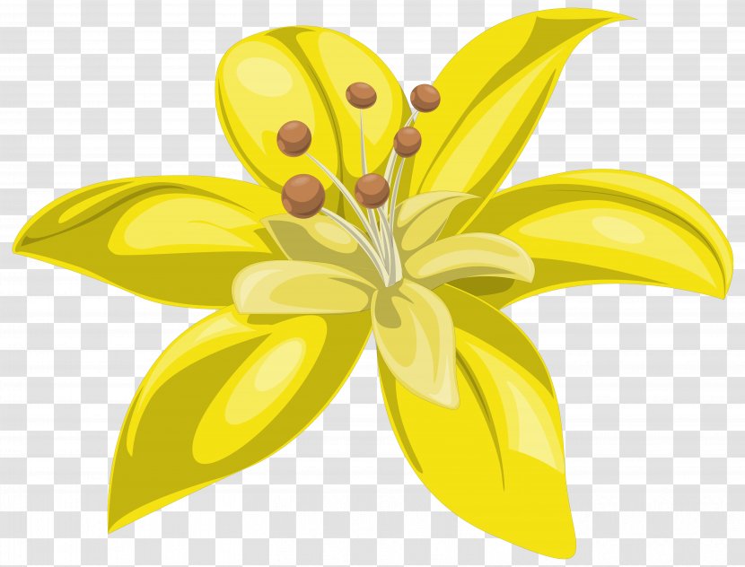 Flower Yellow Lilium Clip Art - Gerber Format - Flowers Transparent PNG