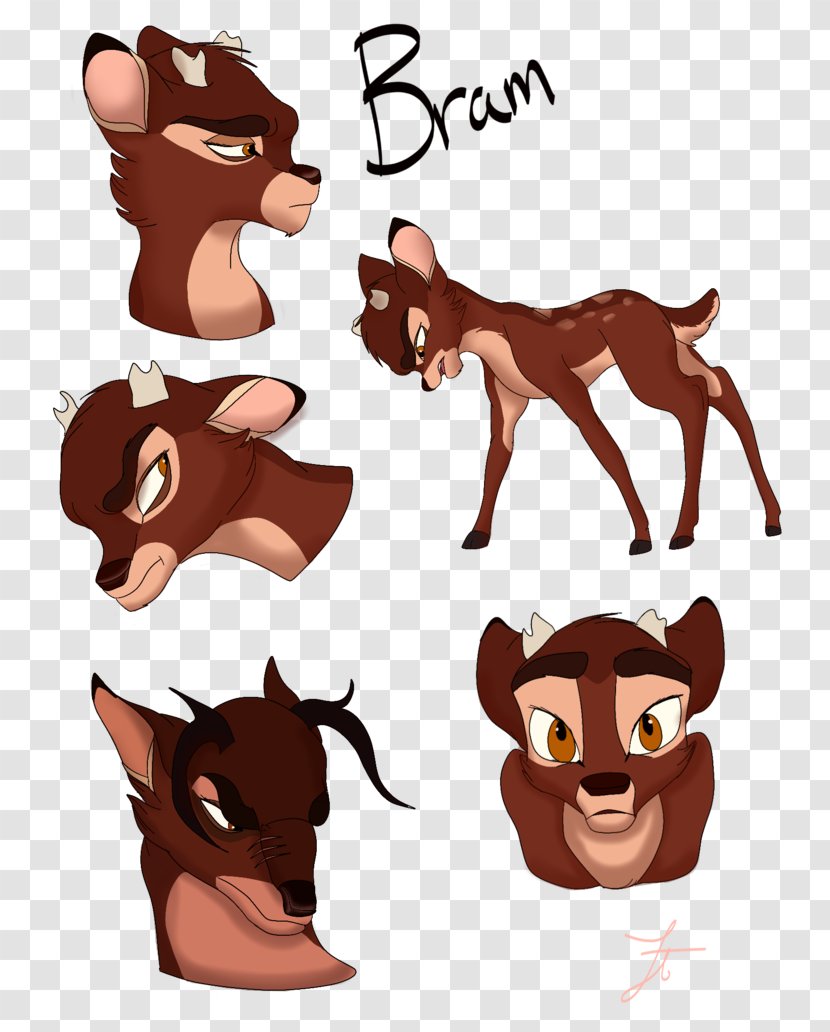 Cat Horse Deer Dog - Head Transparent PNG