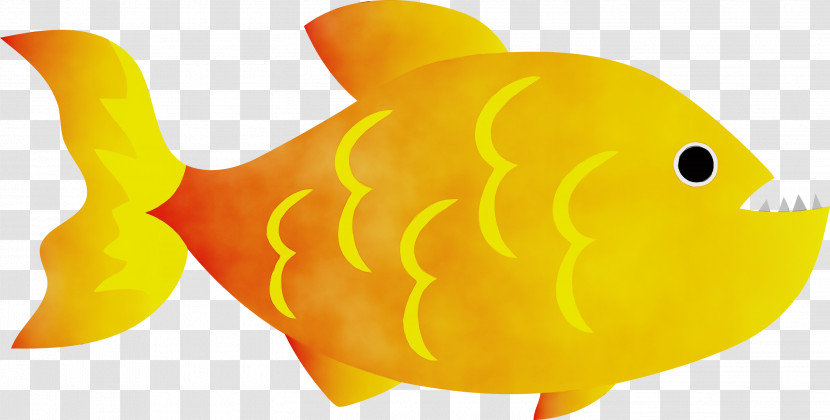 Yellow Fish Biology Science Transparent PNG