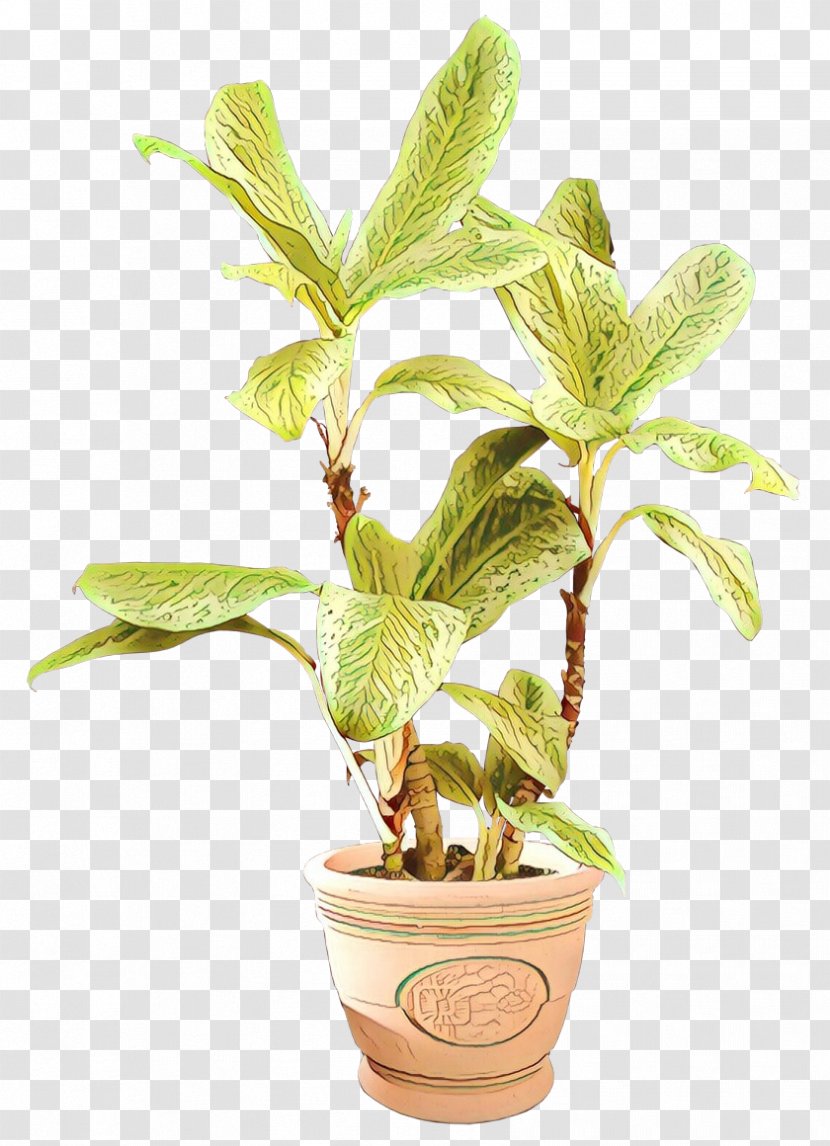 Flowerpot Herb Houseplant Tree Transparent PNG