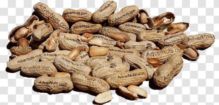 Peanut Vegetarian Cuisine Commodity Vegetarianism - Ingredient - Roasted Transparent PNG