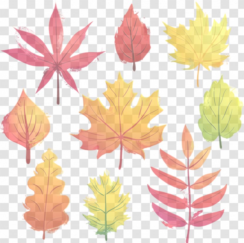 Maple Leaf - Black - Deciduous Woody Plant Transparent PNG