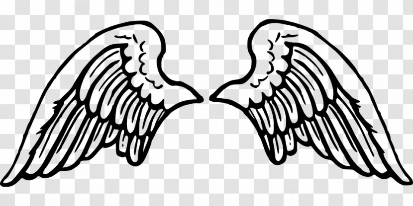 Drawing Clip Art - Frame - Wings Cartoon Transparent PNG