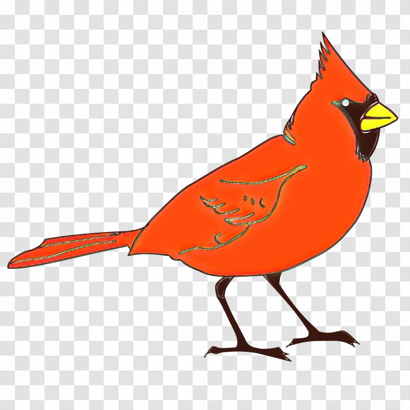 Northern Cardinal Bird St. Louis Cardinals Clip Art - Cartoon - Perching Transparent PNG