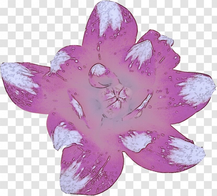 Lavender - Leaf - Herbaceous Plant Flower Transparent PNG