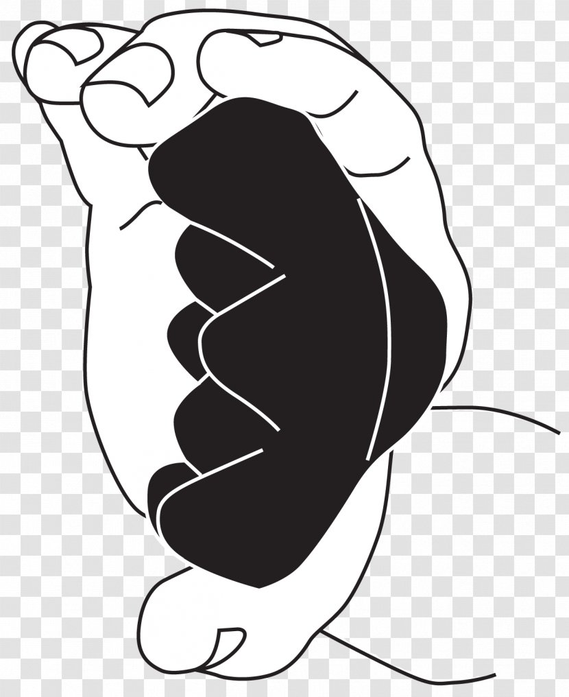 Muscle Mate Equipment Ltd Muscles Of The Hand Yerba - Backpack Outline Transparent PNG