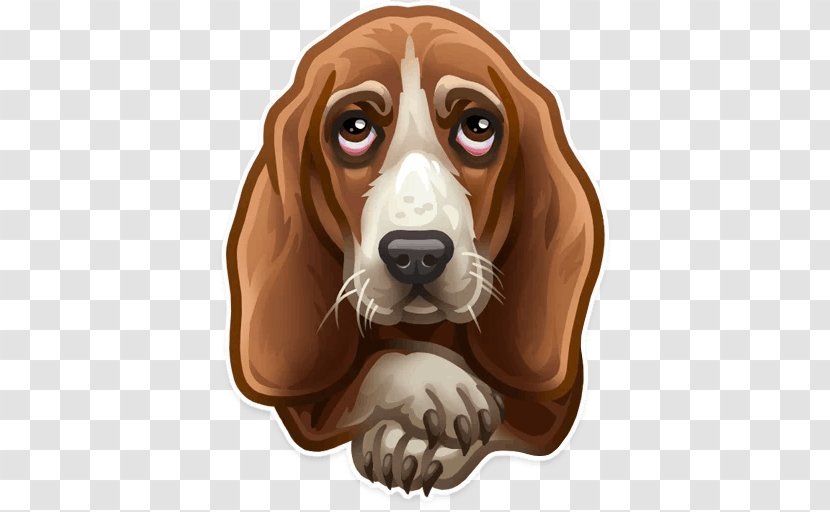 Basset Hound Artésien Normand Harrier Beagle Border Terrier - Carnivoran - Puppy Transparent PNG