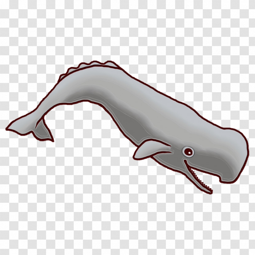 Dolphin Fish Font Tail Science Transparent PNG