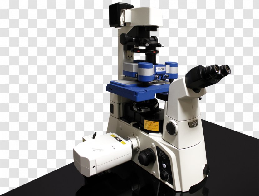 Optical Microscope Dinosaur Planet Image Atomic Force Microscopy Transparent PNG