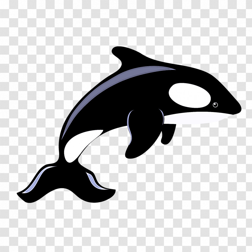 Dolphin Killer Whale Cetaceans Porpoises Whales Transparent PNG