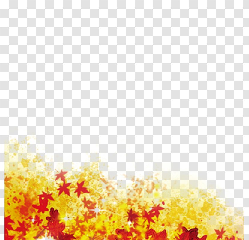 Leaf Autumn - Sky - Leaves Transparent PNG