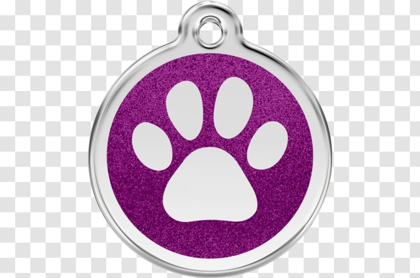 Dog Collar Dingo Pet Tag Cat Transparent PNG