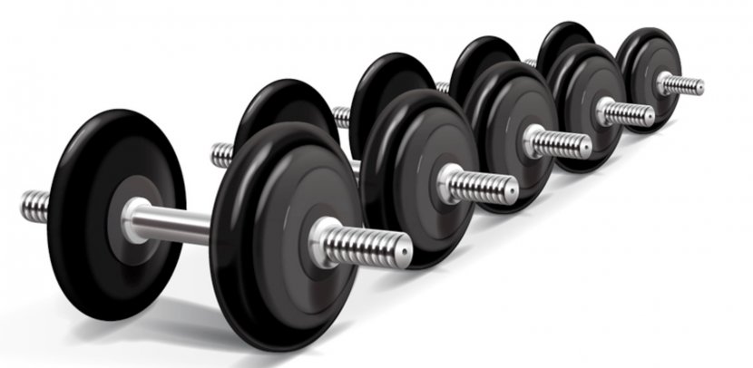 Weight Training Strength Physical Exercise Barbell Dumbbell Transparent PNG
