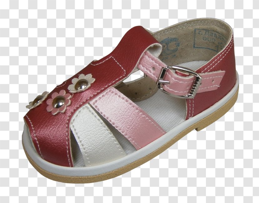 Sandal Shoe Pink M Walking - Outdoor Transparent PNG