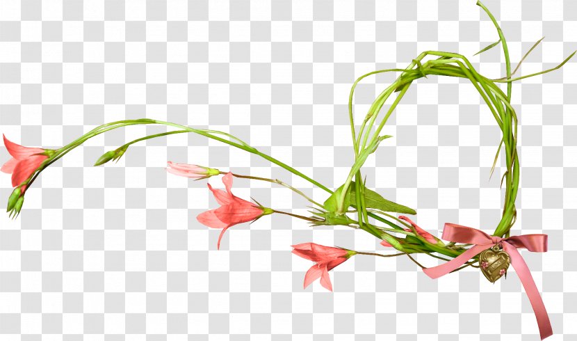 Flower Blossom Light Clip Art - Gladiolus Transparent PNG