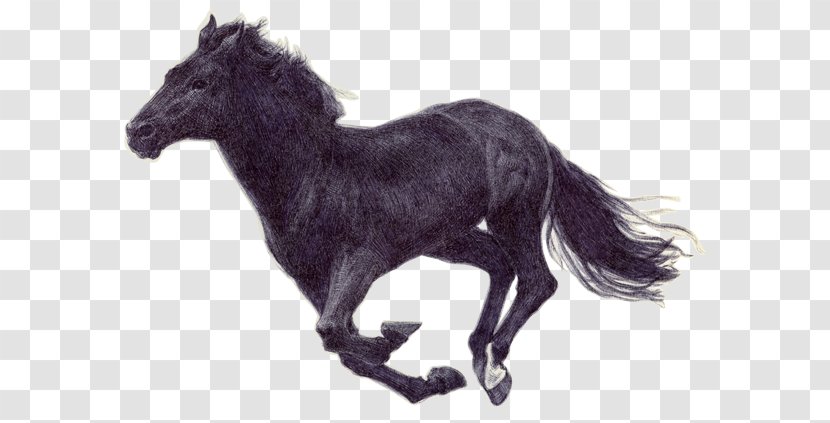 Pony Mustang American Paint Horse Mane Stallion - Animal Figure - Run Transparent PNG