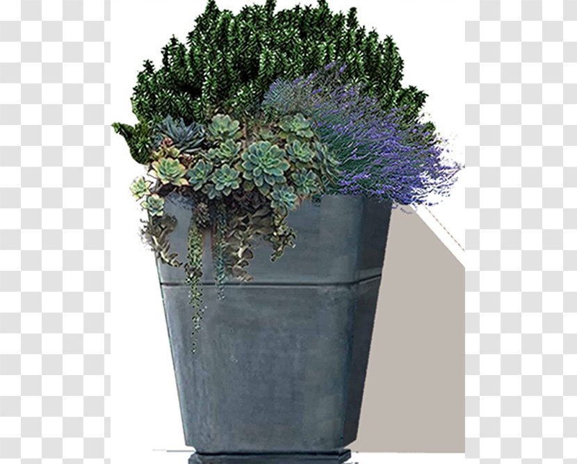 Houseplant Flowerpot Tree Herb Shrub - Vase Transparent PNG
