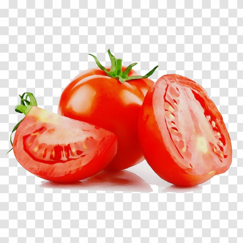 Tomato - Wet Ink - Local Food Plant Transparent PNG