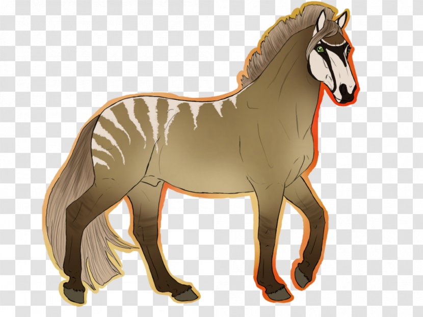 Foal Mane Mustang Stallion Colt - Halter Transparent PNG
