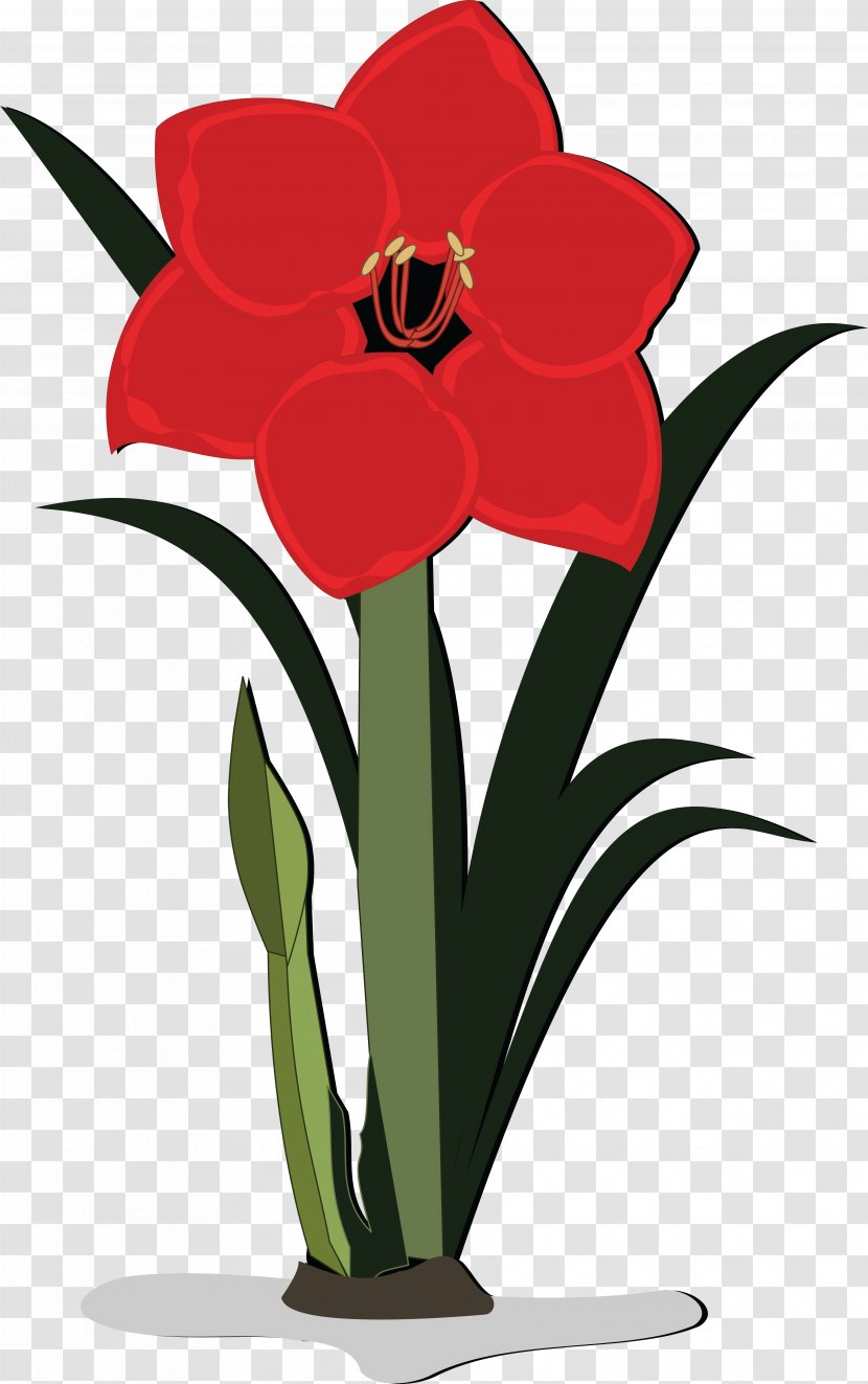 Flower Jersey Lily Clip Art - Plant Stem Transparent PNG