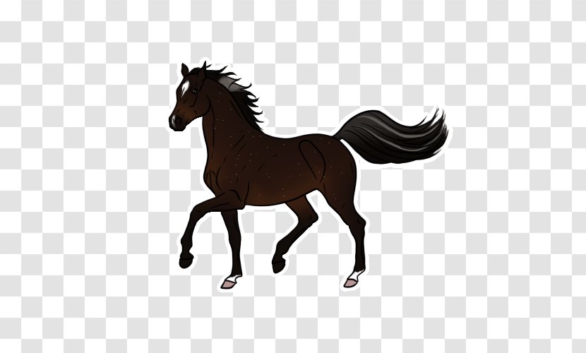 Mustang Foal Stallion Colt Mare - Horse Tack Transparent PNG