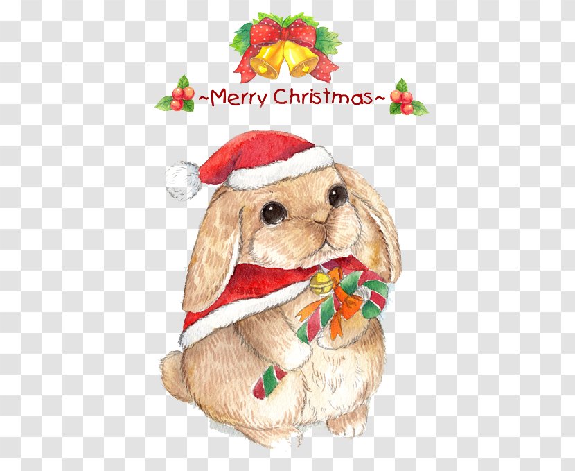 Christmas Eve Rabbit Cuteness - Cartoon Transparent PNG
