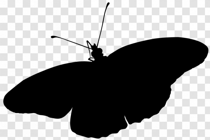 Brush-footed Butterflies Insect Clip Art Silhouette Line - Moths And - Organism Transparent PNG