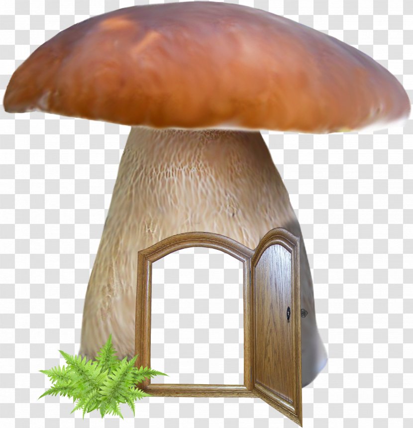 Mushroom Penny Bun Edible Bolete Agaricomycetes - Fungus - Agaricus Transparent PNG