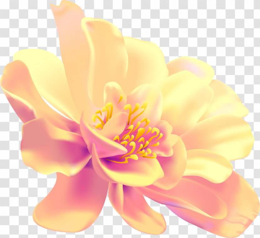 Display Resolution Drawing Photography - Monochrome Painting - Flower Transparent PNG
