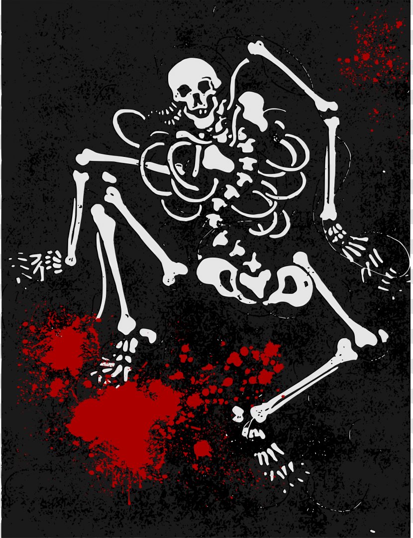 Human Skeleton Skull - Art Transparent PNG