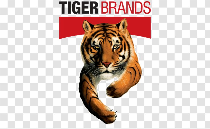 2017–18 South African Listeriosis Outbreak Tiger Brands Chief Executive - Big Cats - Tony The Transparent PNG