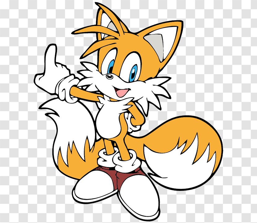 Tails Sonic Rush Adventure Shadow The Hedgehog Ariciul - 2 - Silver Transparent PNG