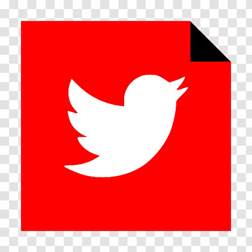 Brand Icon Logo Media - Bird Wing Transparent PNG