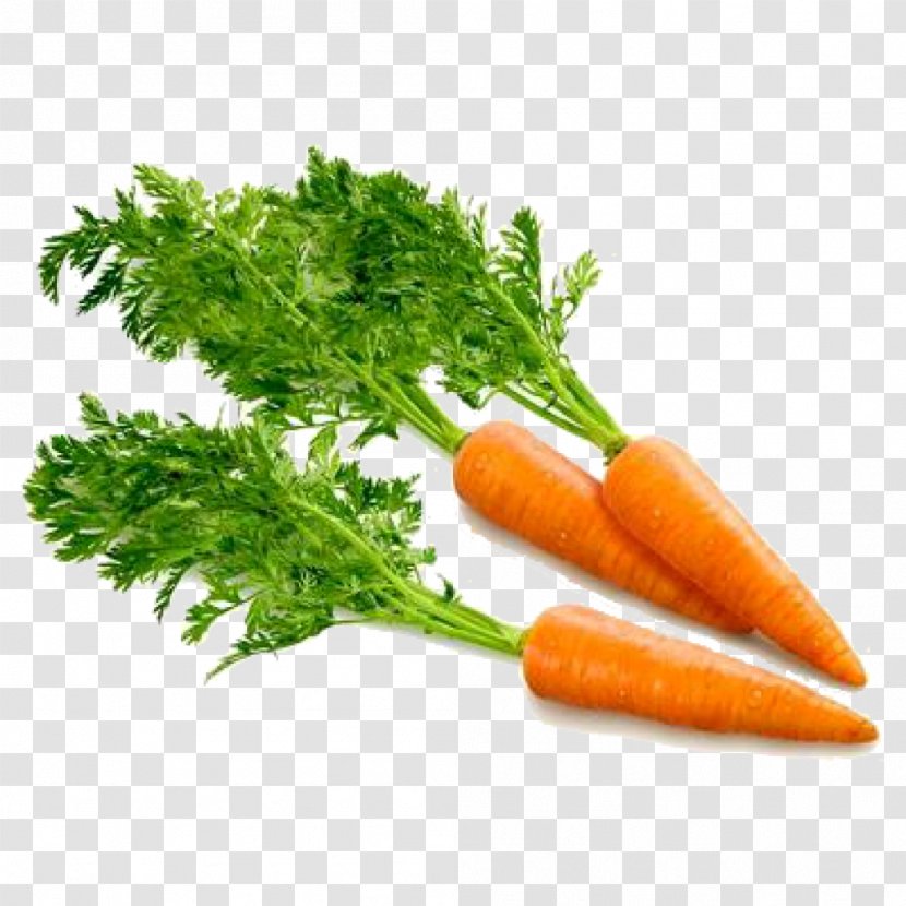 Carrot Clip Art - Vegetarian Food Transparent PNG