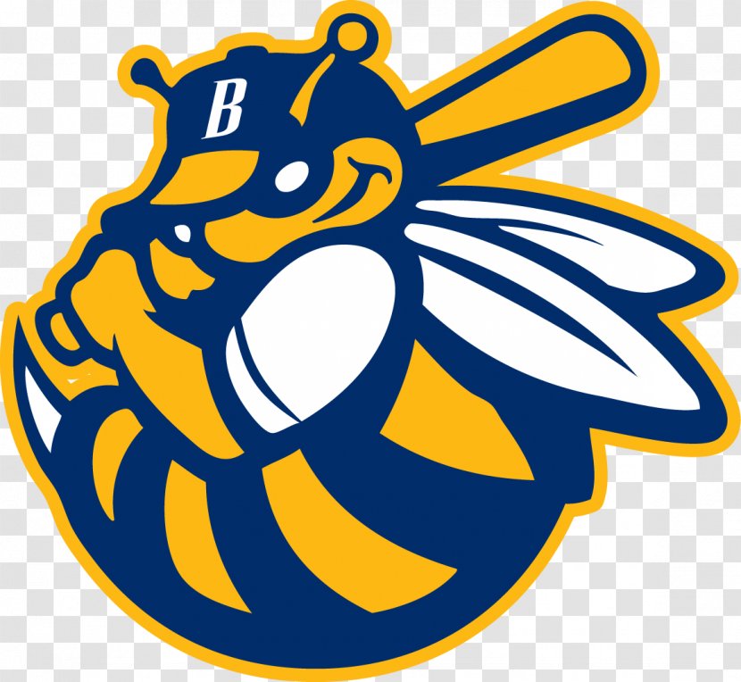 Burlington Bees Los Angeles Angels Peoria Chiefs Kane County Cougars - Minor League Baseball - Softball Transparent PNG