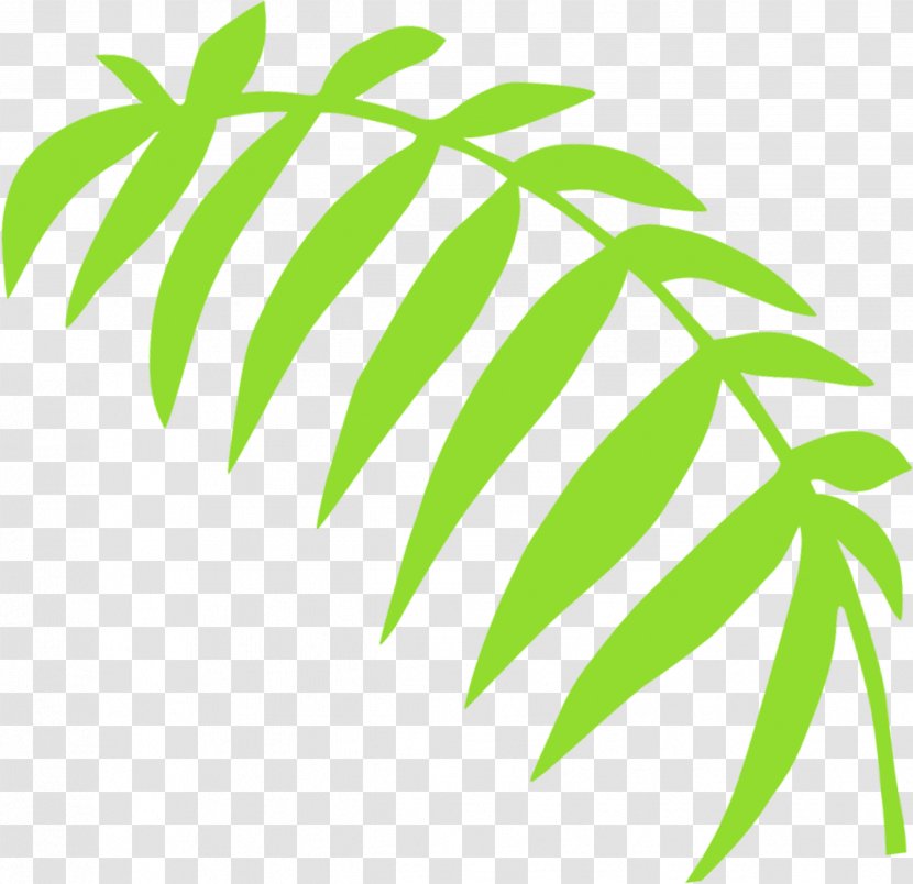 Leaf Clip Art Line Plant Stem Tree Transparent PNG