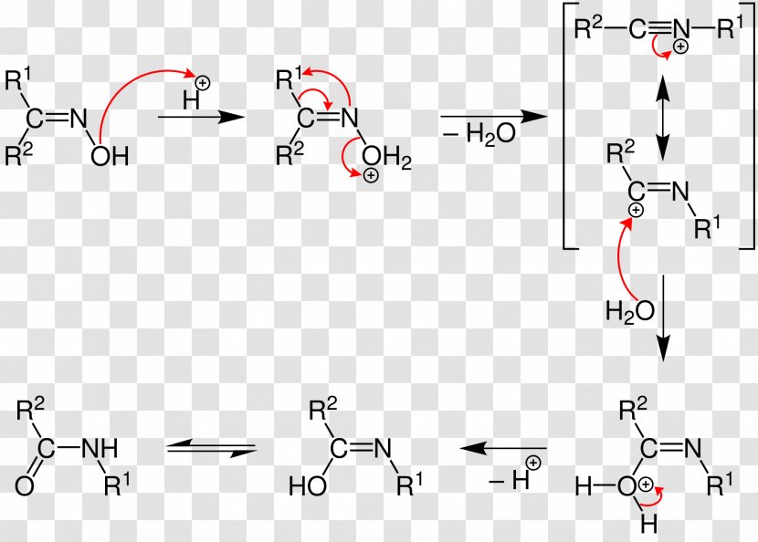 Beckmann Rearrangement Reaction Amide Hofmann Chemical - Hydroxy Group - Diagram Transparent PNG