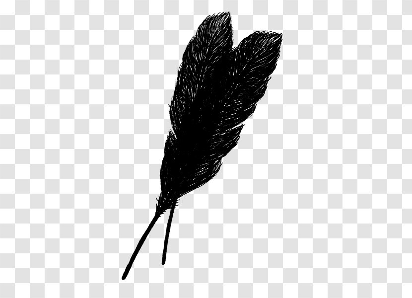 Feather Archaeopteryx - Black And White Transparent PNG