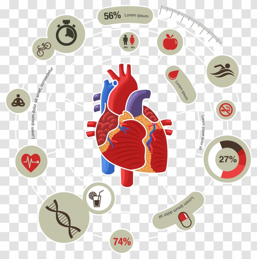 Myocardial Infarction Heart Cardiovascular Disease Symptom - Health - Medical Biology Innovation Chart Vector Transparent PNG