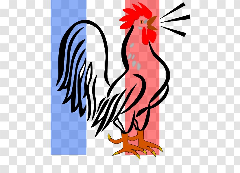Rooster Zazzle Clip Art - Phasianidae Transparent PNG