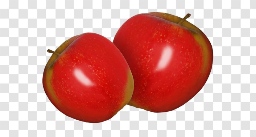 Apple Plum Tomato Macintosh Fruit Clip Art - Accessory Transparent PNG